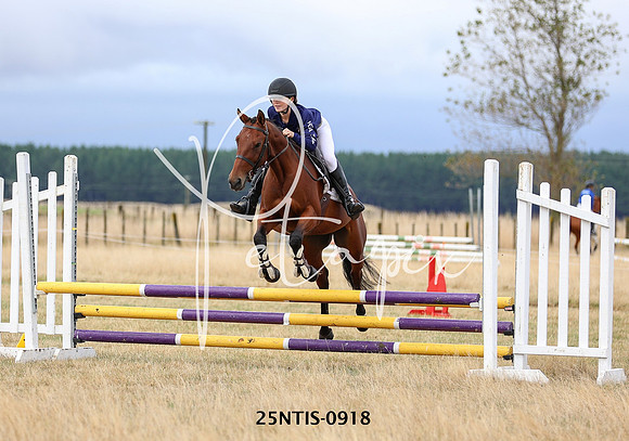 25NTIS-0918