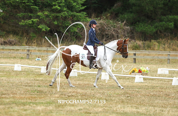 NIPCCHAMPS2-7153