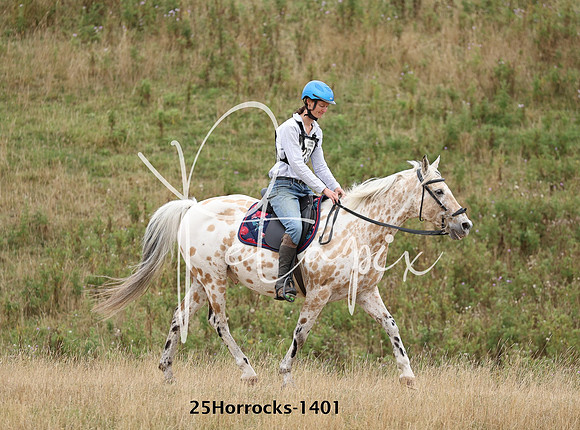 25Horrocks-1401