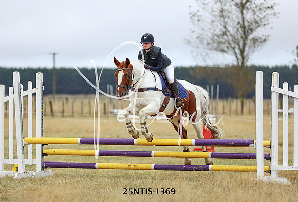 25NTIS-1369