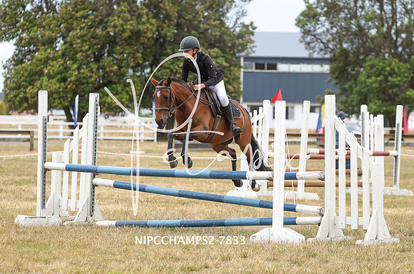 NIPCCHAMPS2-7833