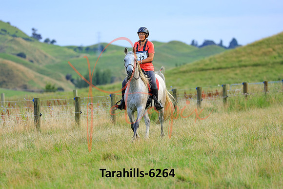 Tarahills-6264