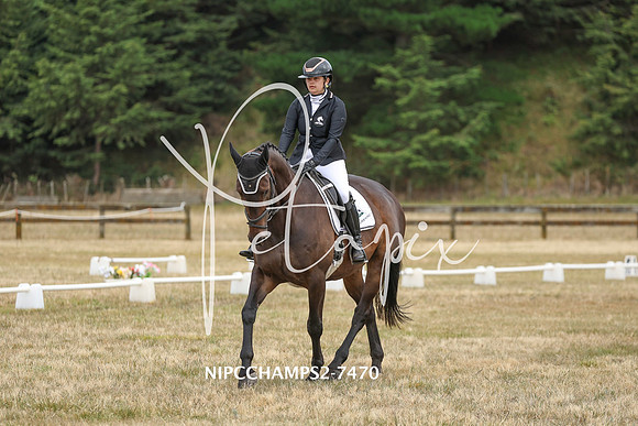 NIPCCHAMPS2-7470