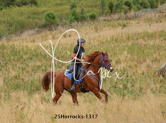 25Horrocks-1317