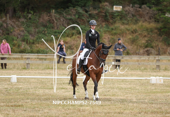 NIPCCHAMPS2-7549