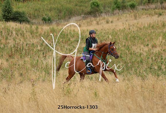 25Horrocks-1303