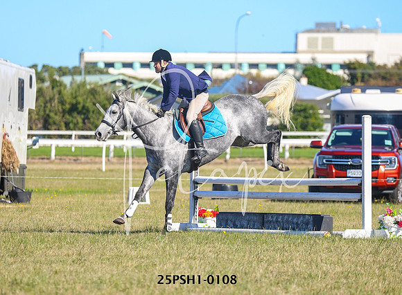25PSH1-0108