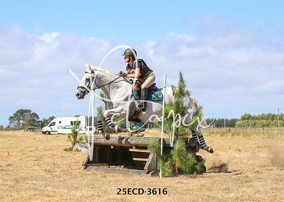 25ECD-3616