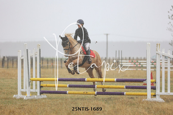 25NTIS-1689