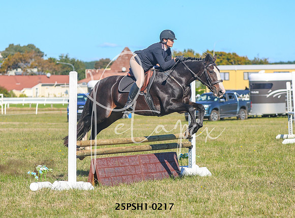 25PSH1-0217