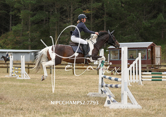 NIPCCHAMPS2-7793