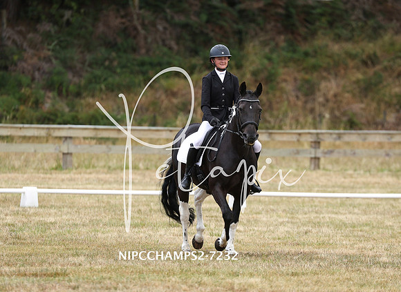 NIPCCHAMPS2-7232