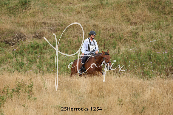 25Horrocks-1254