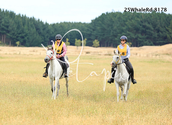 25WhaleRd-8178