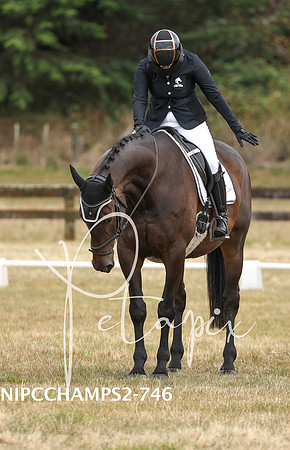 NIPCCHAMPS2-7464