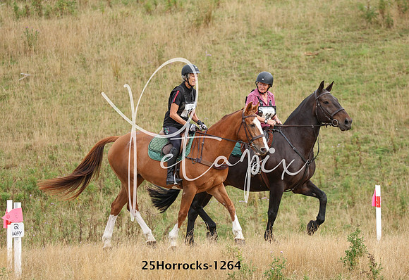 25Horrocks-1264