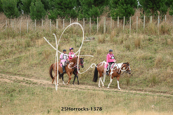 25Horrocks-1378
