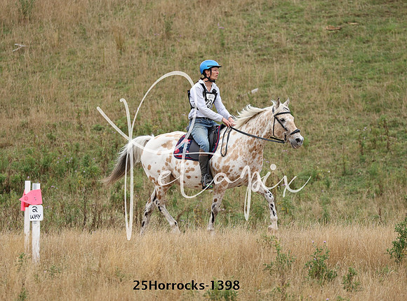 25Horrocks-1398