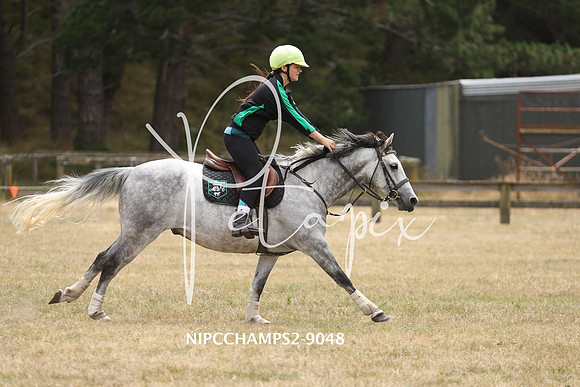 NIPCCHAMPS2-9048