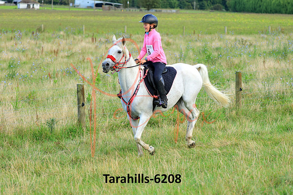 Tarahills-6208