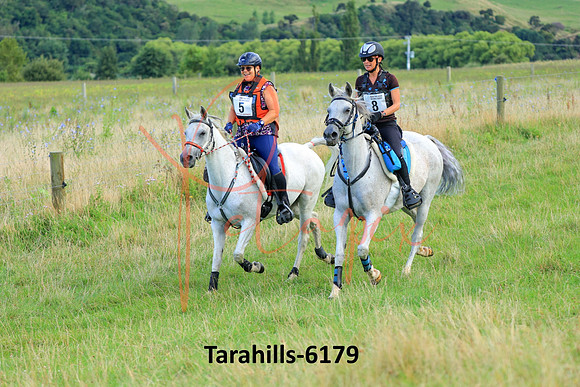 Tarahills-6179