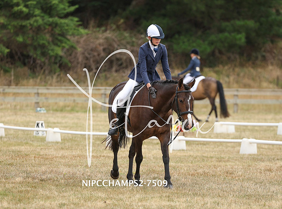 NIPCCHAMPS2-7509