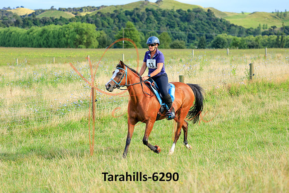 Tarahills-6290