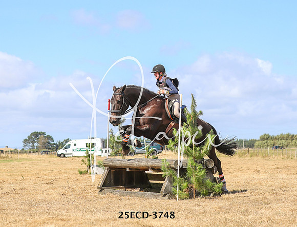 25ECD-3748