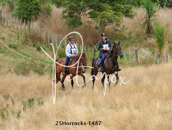 25Horrocks-1487
