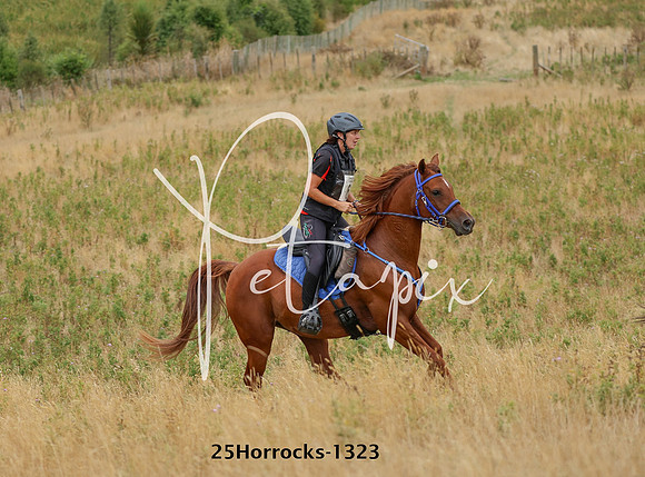 25Horrocks-1323