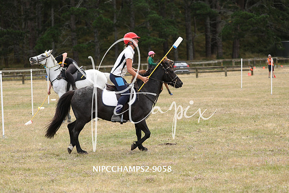 NIPCCHAMPS2-9058