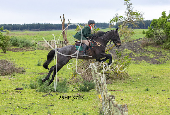 25HP-3723
