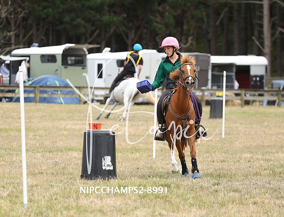 NIPCCHAMPS2-8991
