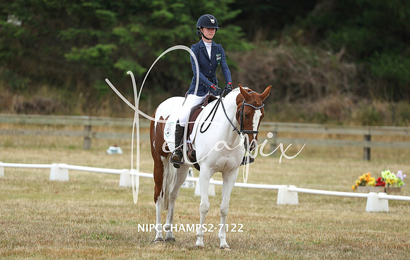NIPCCHAMPS2-7122