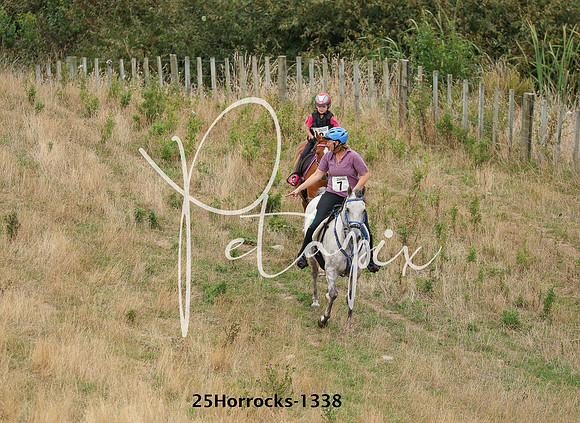 25Horrocks-1338