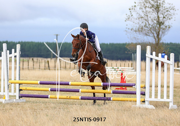 25NTIS-0917