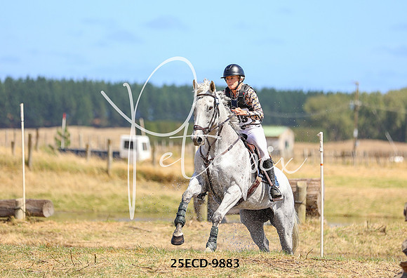 25ECD-9883