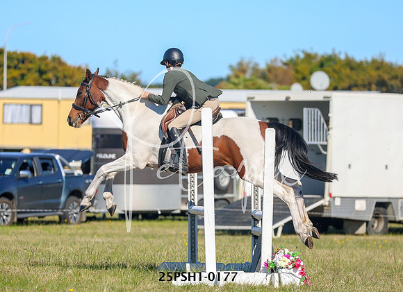 25PSH1-0177