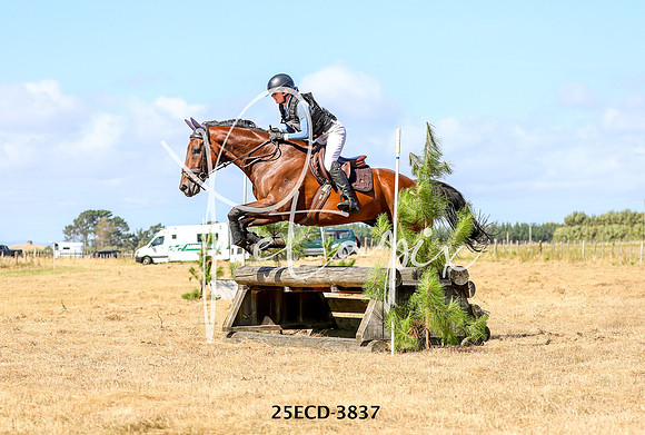 25ECD-3837