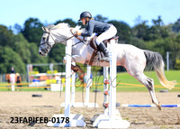 23FAPIFEB-0178