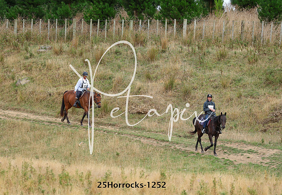 25Horrocks-1252