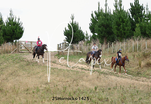 25Horrocks-1425