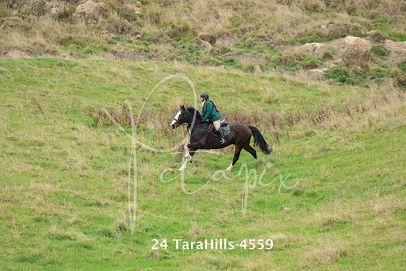 24 TaraHills-4559