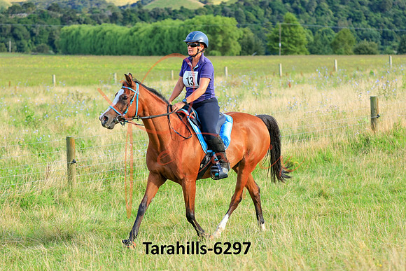 Tarahills-6297