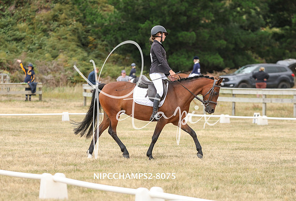 NIPCCHAMPS2-8075