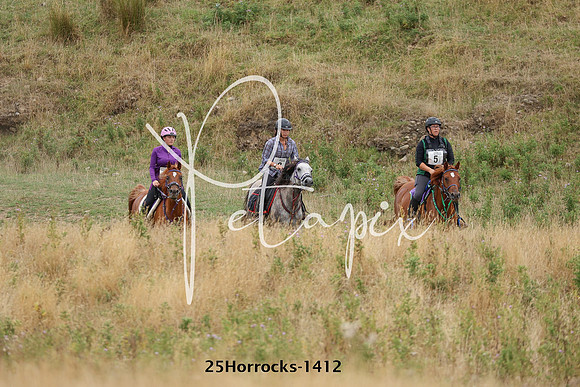 25Horrocks-1412