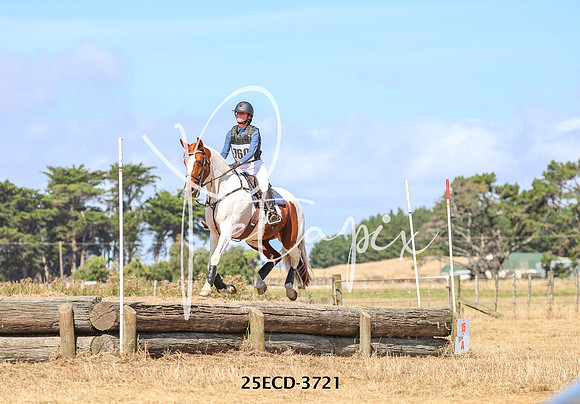 25ECD-3721