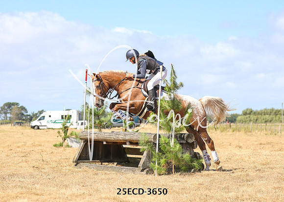 25ECD-3650