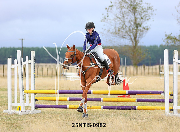 25NTIS-0982