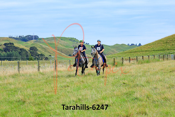 Tarahills-6247